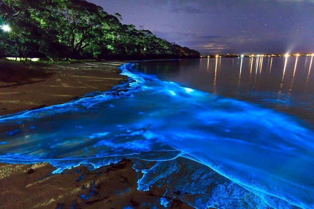 Biển Sao – vùng nước huyền diệu ở đảo Vaadhoo, Maldives