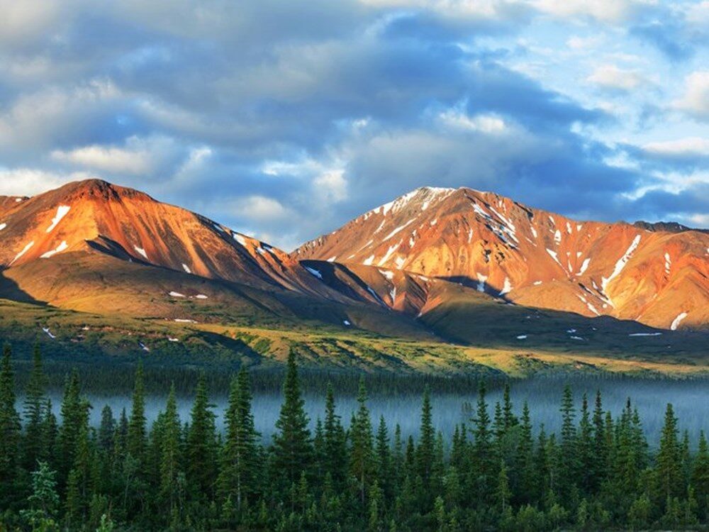 Vườn quốc gia Denali ở Alaska - Giấc mơ của những người yêu thiên nhiên  hoang dã - hi.com.vn